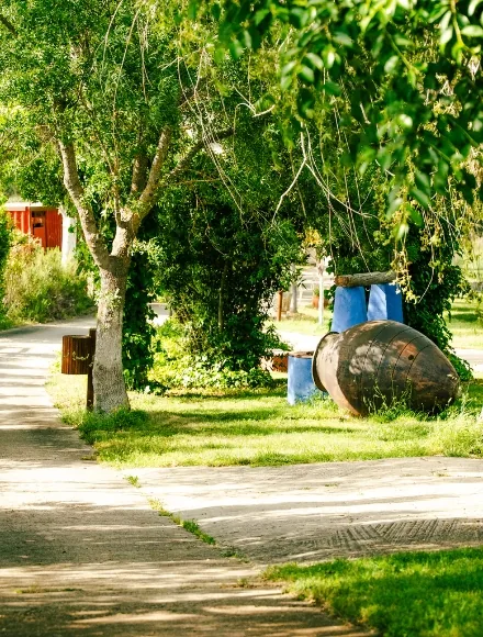 Zona ajardinada del complejo