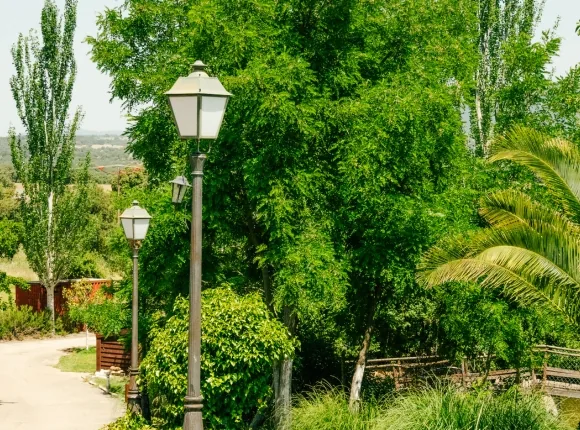 Lago y jardines del complejo